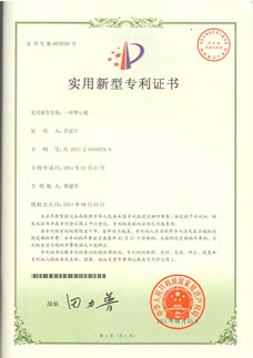st 500aa Patent Certificate
